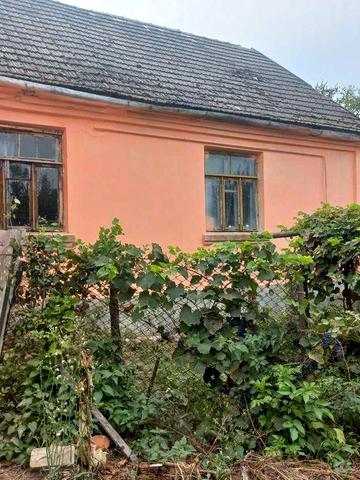 Будинок з госп.будівлями