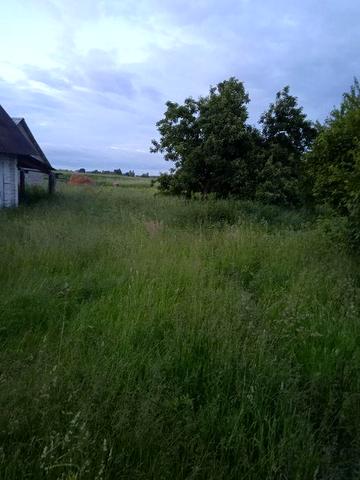 Стара хата. Світло, асвальт, центр села,