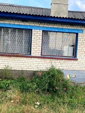 Продам будинок в селищі Любеч з земельною ділянкою