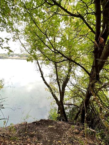 Будинок +40 соток з виходом до ставка.с.Могильне