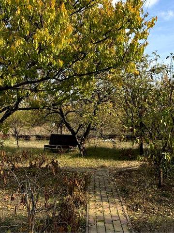 Дачна ділянка з будинком в Кооперативі "Електродник" с. Камяне