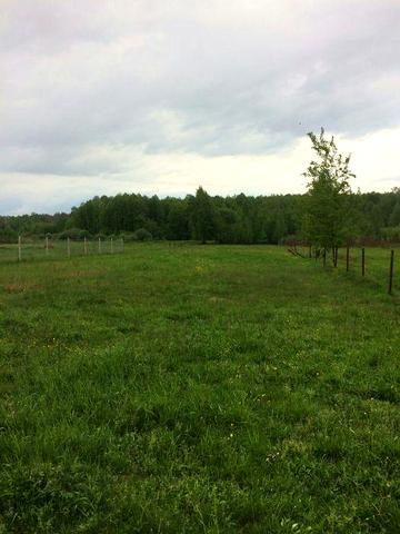 Продам  будинок в смт Клесів Рівненськой обл.