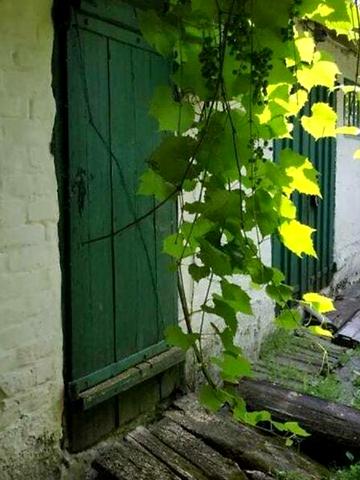 Продаж 6к Дім Центральна вулиця