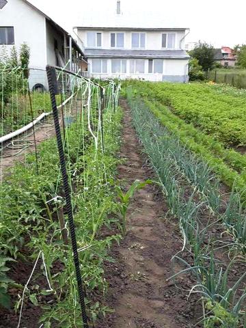 Продається будинок у Підволочиську