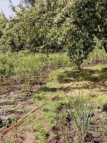 Продам дачу на ж/м Мирный