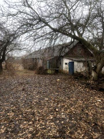 Продам будинок в селі Лютенька