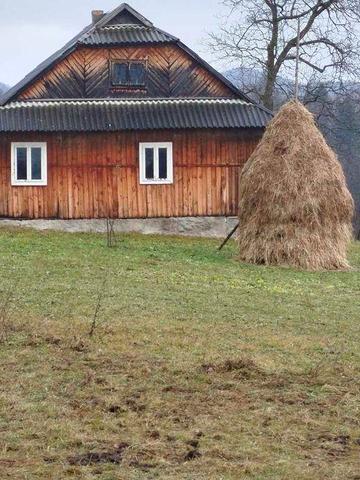 Будинок в Карпатах