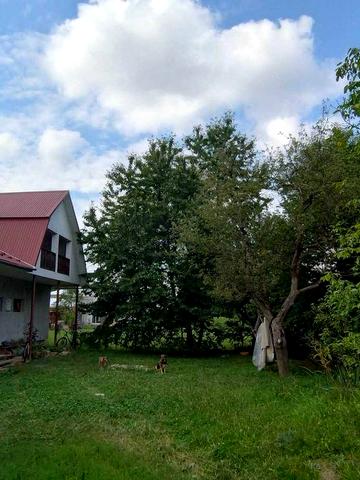 Будинок в місті Косів по вул Ірчана  вище 200м від магазину  Галичанка