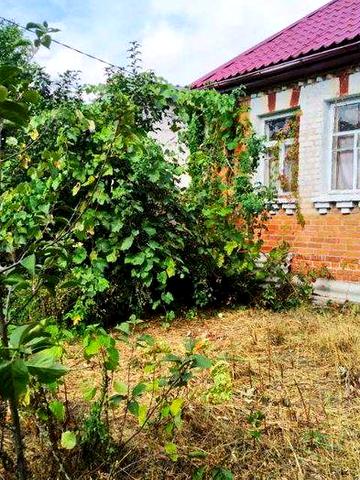 Продам будинок в с. Литвинівка, Вишгородський р-н