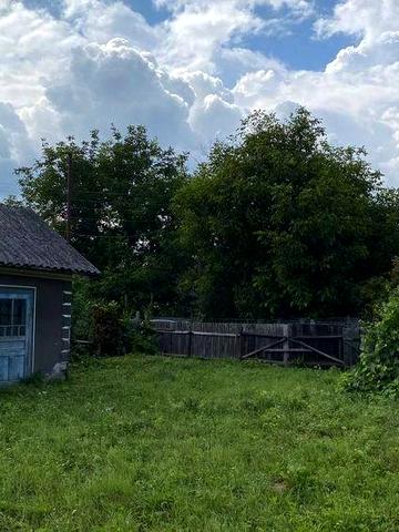 Старе господарство з присадибною ділянкою