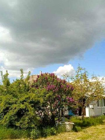 Будинок з ділянкою біля р. Десна