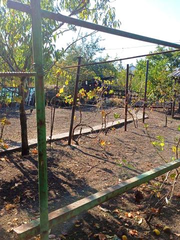 Продам дачу в садовом кооперативе "Мукомол" рядом пгт Малокатериновка