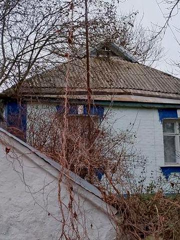 Будинок у с. Вільшана