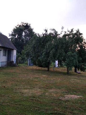 Будинок на березі річки