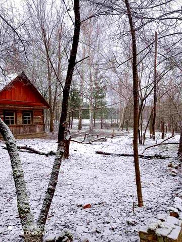 Продається будинок + земельна ділянка в с. Ігнатпіль