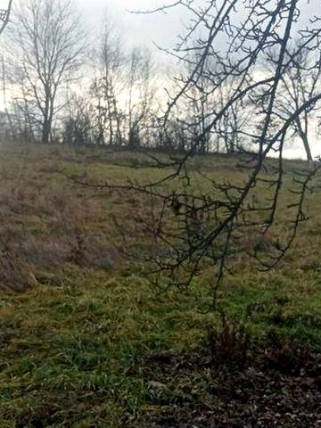 Продаж,Обмін на легкове авто,чи бус будинок у селі Гостів.