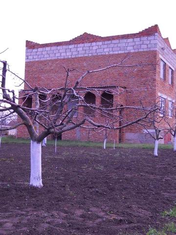Дом Миколаївська область, Баштанський район, с. Лоцкіно 160 кВ.м.