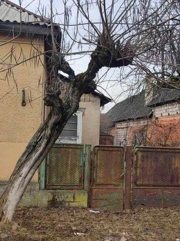 Продається будинок в Закарпатській обл. смт. Королево вул. Петрова 22