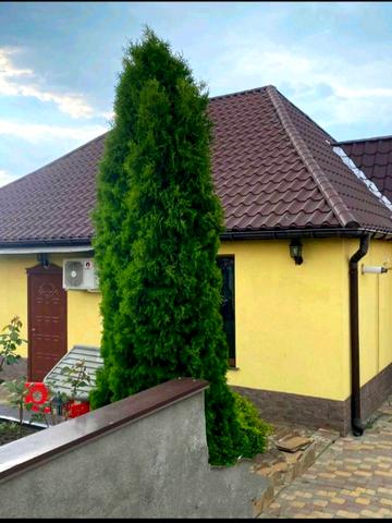 Сортоиспитательная