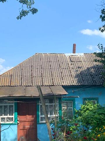 Будинок в селі Олишівка,недалеко від Чернігова.Власник.