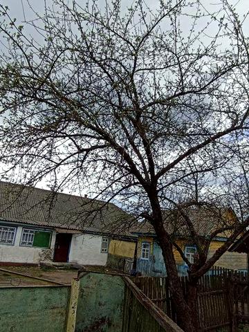 Продам будинок смт Чоповичі Коростенський район