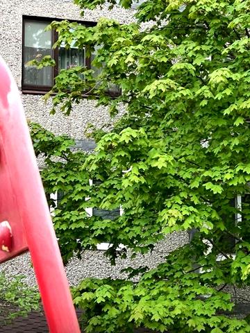 Продаж 3 кімнатної квартиру з ремонтом та меблями.