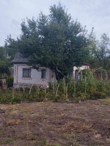 Дача в кооперативі "Олександрів Яр"