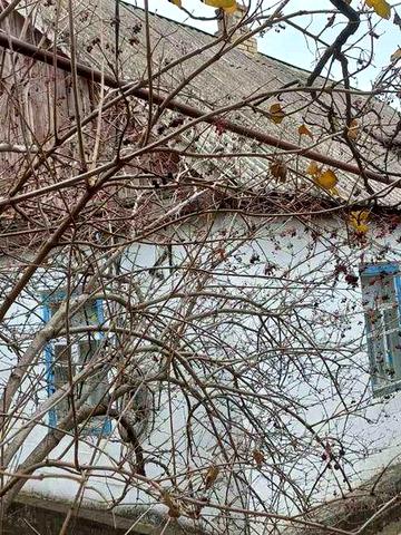 Продам будинок м. Марганець вул. Орехова 21 (Пірогова)