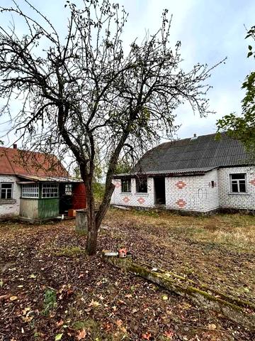 Центральна, 1