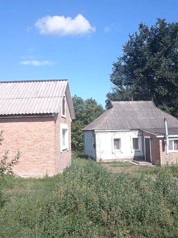 Садиба в Кибинцях біля ставка.