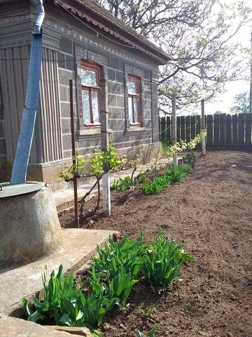 Дом в селе Криничное