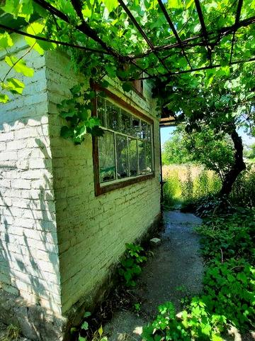 Продам дачу біля р. Дніпро ,на Власівці