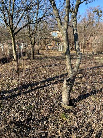 Дача 1,5 поверхова