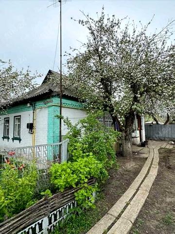 Центральна, 1