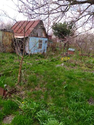 Продам (сдам в аренду)дачу на Космосе