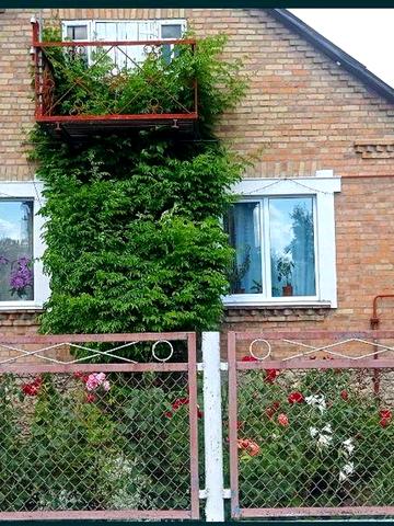 Продам будинок!Власник!