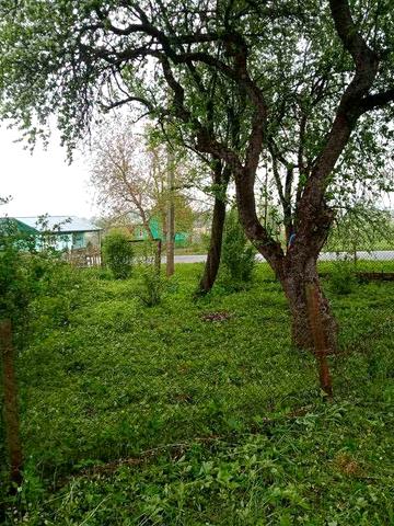 Будинок під знос