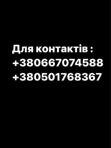 Продається приватний будинок , господарство в с. Шипинці