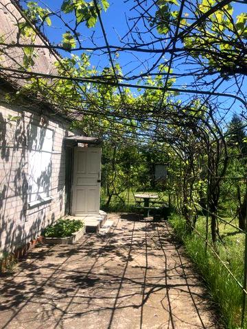 Продам дачу в с. Отрадное (Лозы)