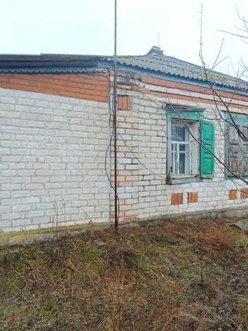 Продам будиок с. Задонецьке ліс хвойний та річка