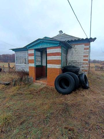 Продам будиок с. Задонецьке ліс хвойний та річка