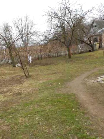 Земельна ділянка 0.28 га, і  хата с Пустоварівка .    Київська область