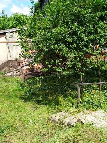 Срочно! Продам квартиру Тростянец (Аренды Нет)