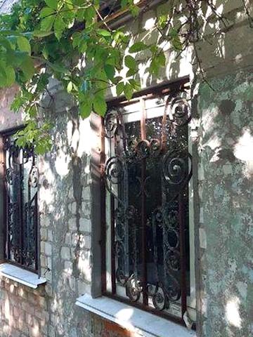 Дача з гарним краєвидом в селі Червоне Фастівського району