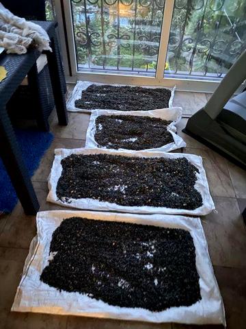 Для любителей тишины! Семейная ферма. Всё новое!