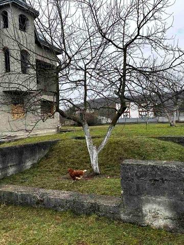 Продається будинок в с. Середнє Водяне