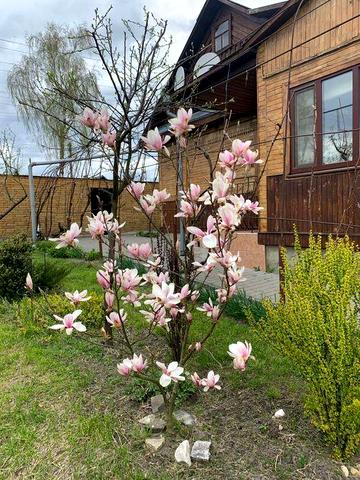 Приватний будинок