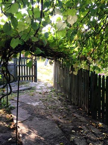 Продам будинок село Алтинівка.