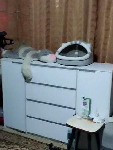 Продам  свою 2 комнатную квартиру