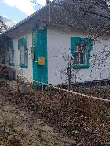 Продам будинок з виходом до річки